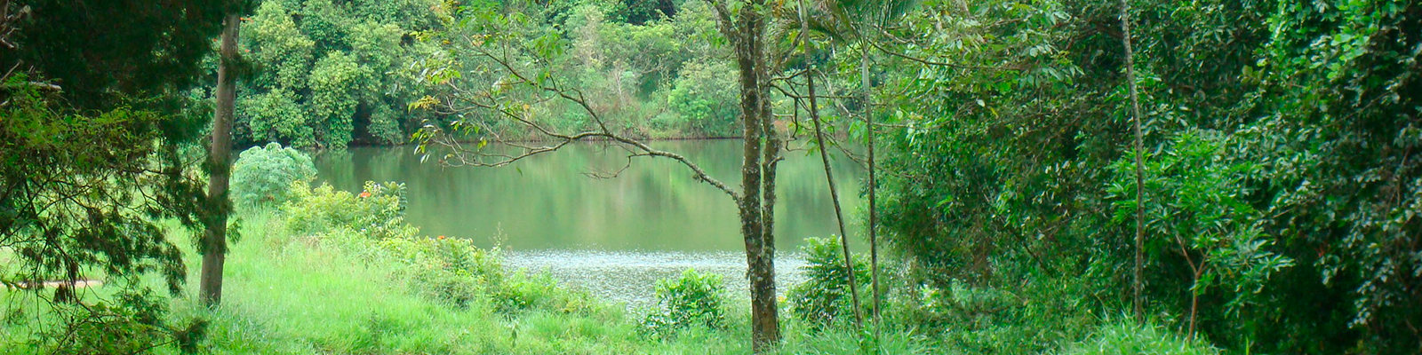 Lagoa na UFSCar Araras